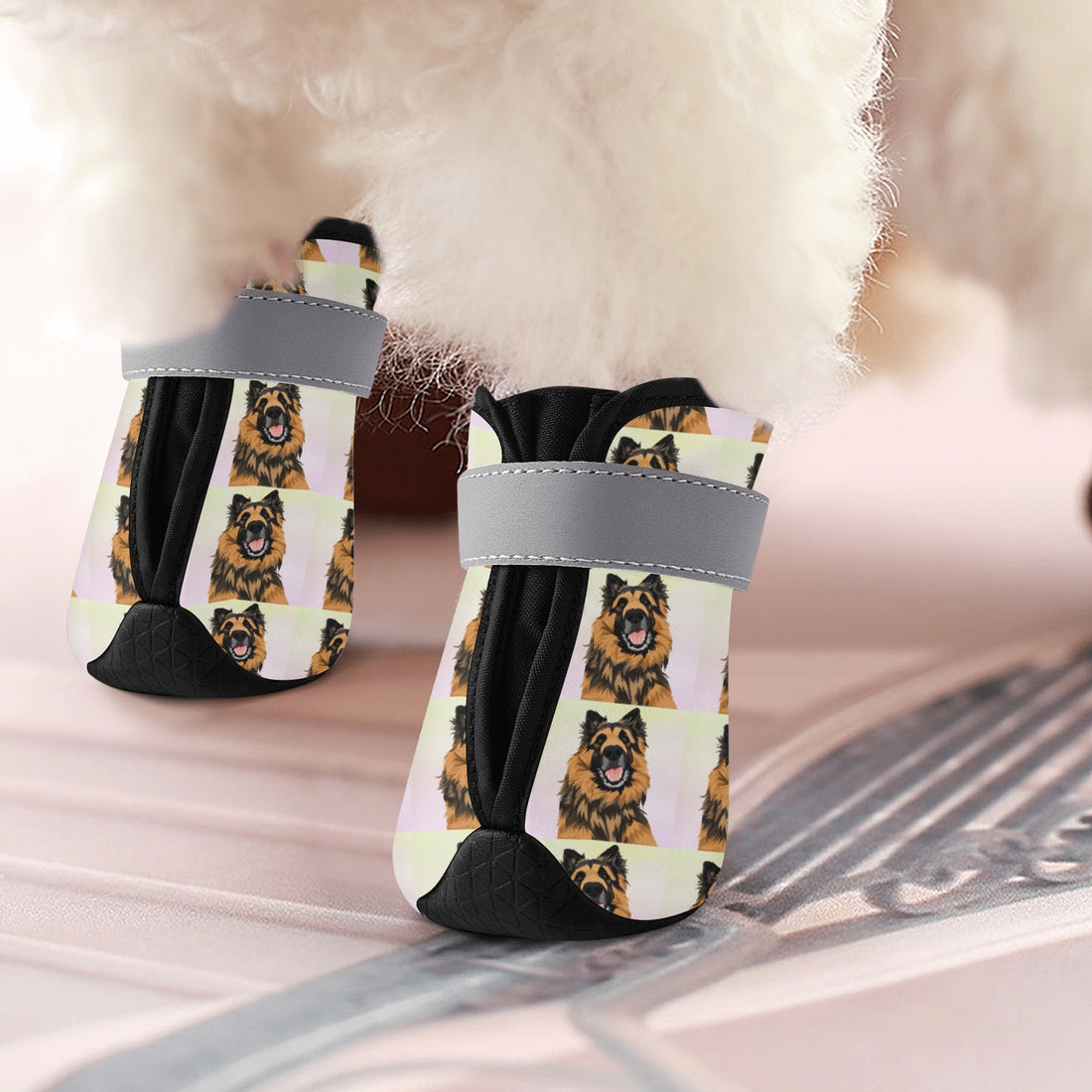 Paws and Personality: Unveiling the Charm of Custom Dog Socks - Artslo.com