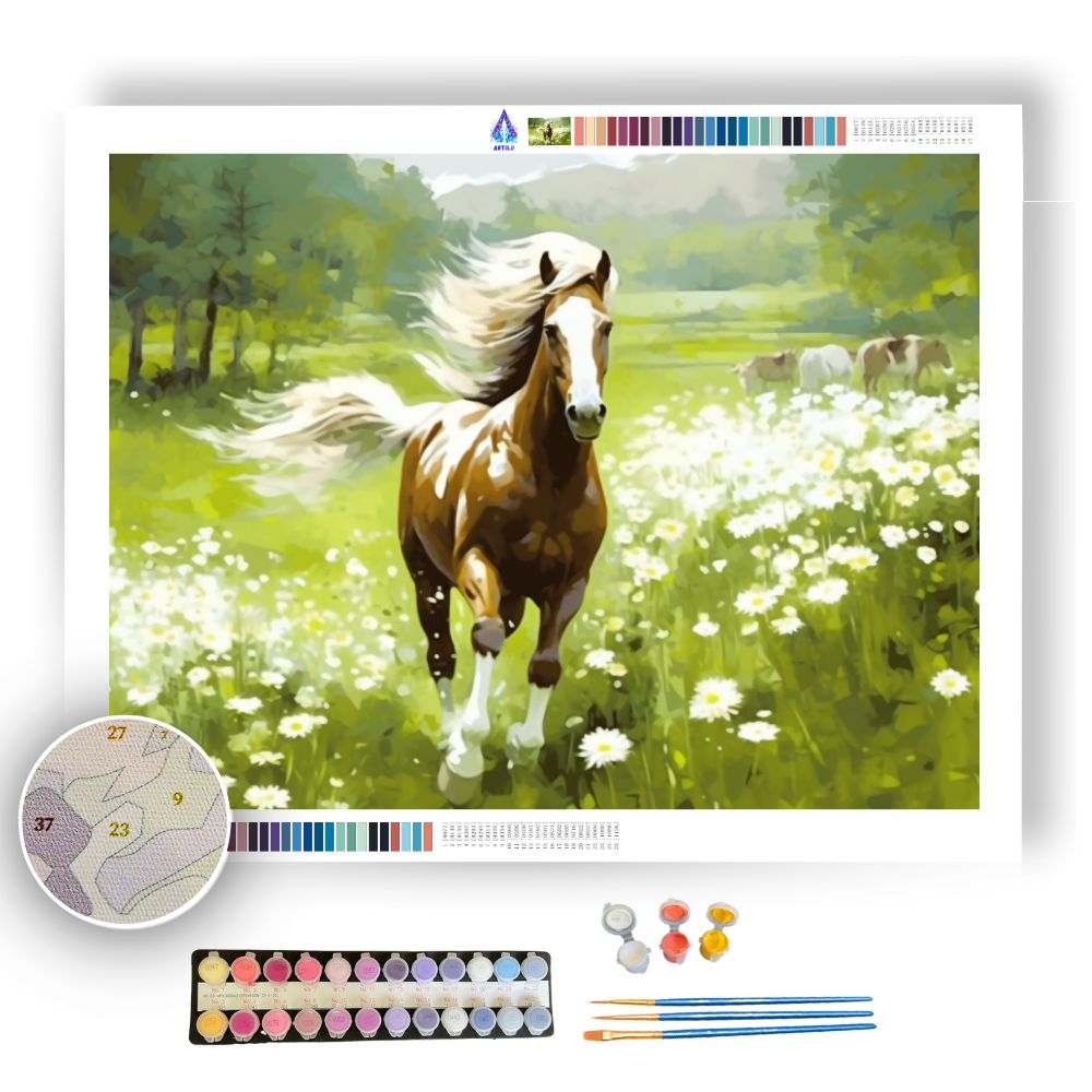 Equestrian Harmony - Paint by Numbers