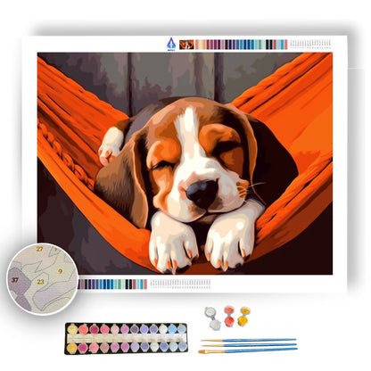 Dreaming Beagle - Paint by Numbers